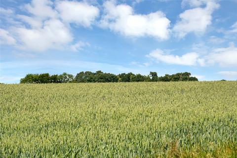 undefined, Belton, Grantham, Lincolnshire
