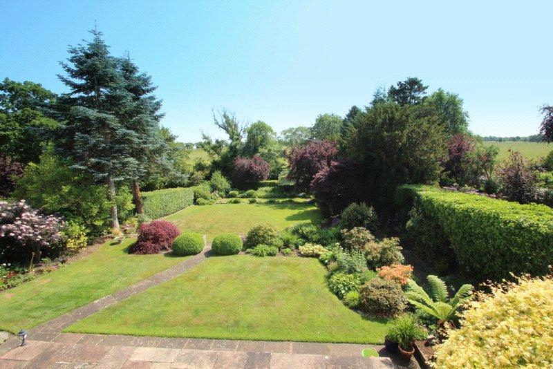 Rear Garden Photo 2