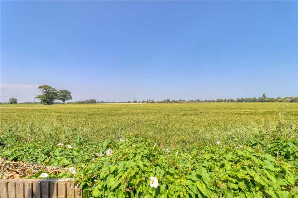 Field Views