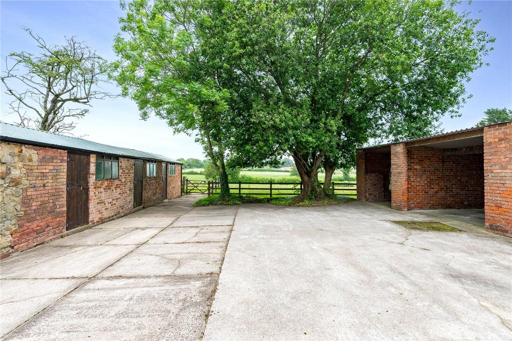 Rear Yard