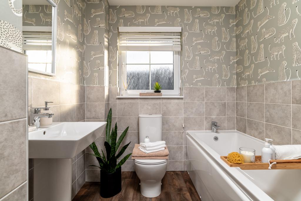 DEV002497 Dalmally H411 22