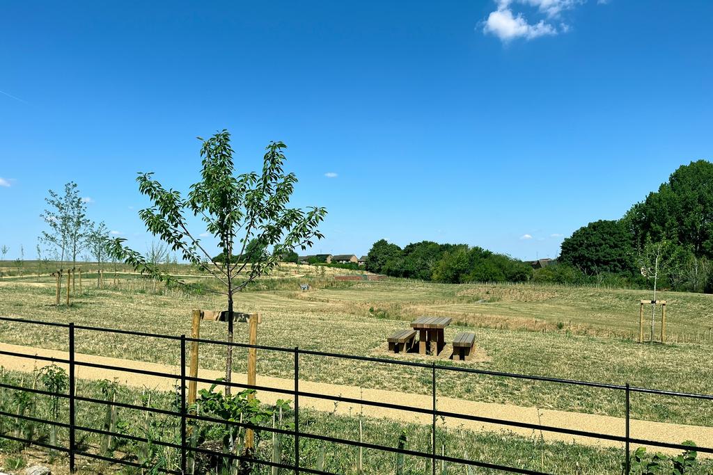 View from plot 10, 11