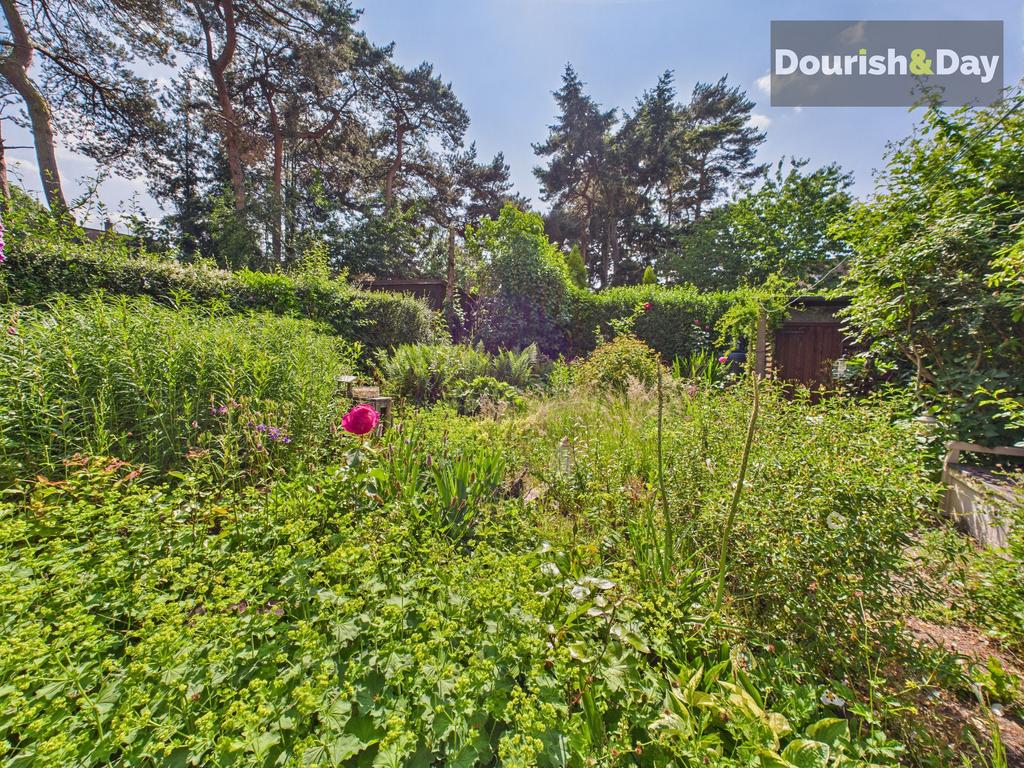 Bottom Of Garden