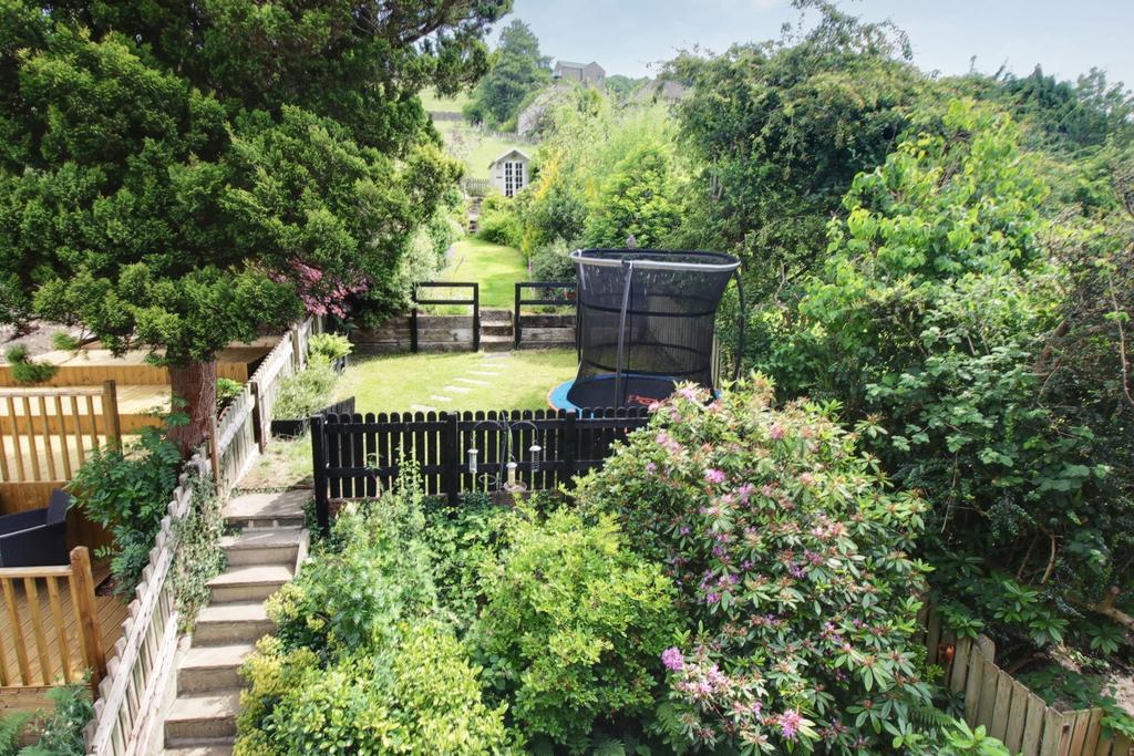 Back Garden