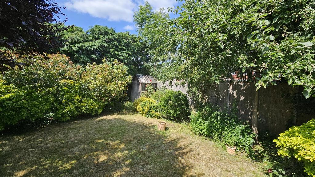 25.jpg