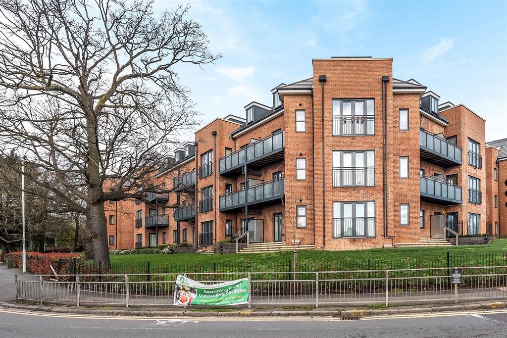 39 Maven - Front CROP.jpg