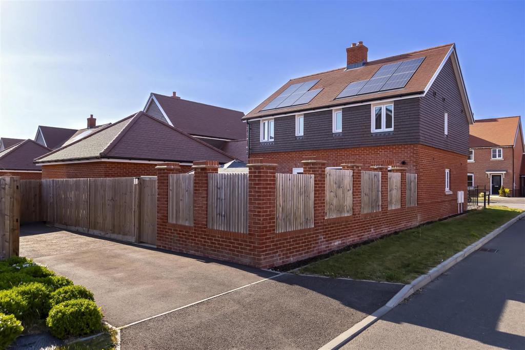 Narcisus Rise 21.jpg