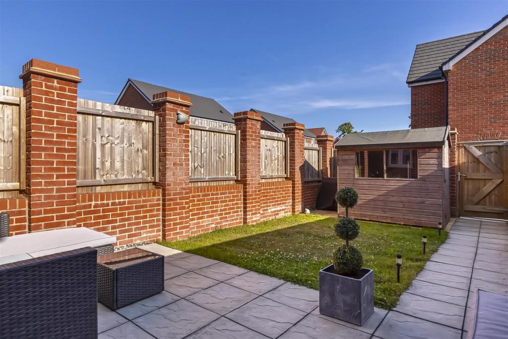 Narcisus Rise 18.jpg