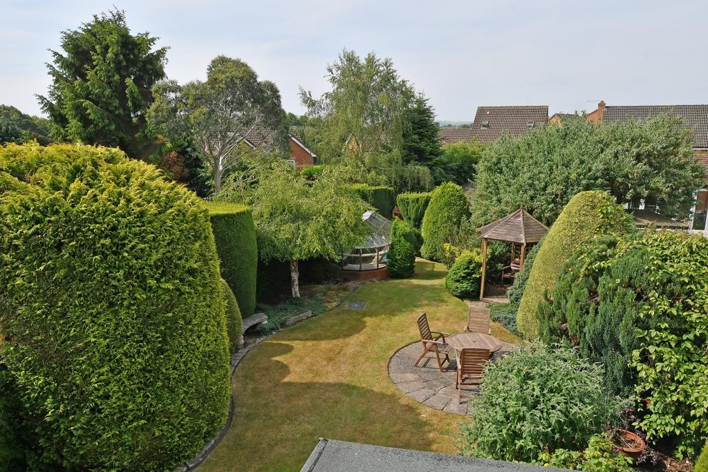 Dsc 3691