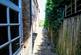 Additional image 28 of Bakery Close, Roydon, Harlow