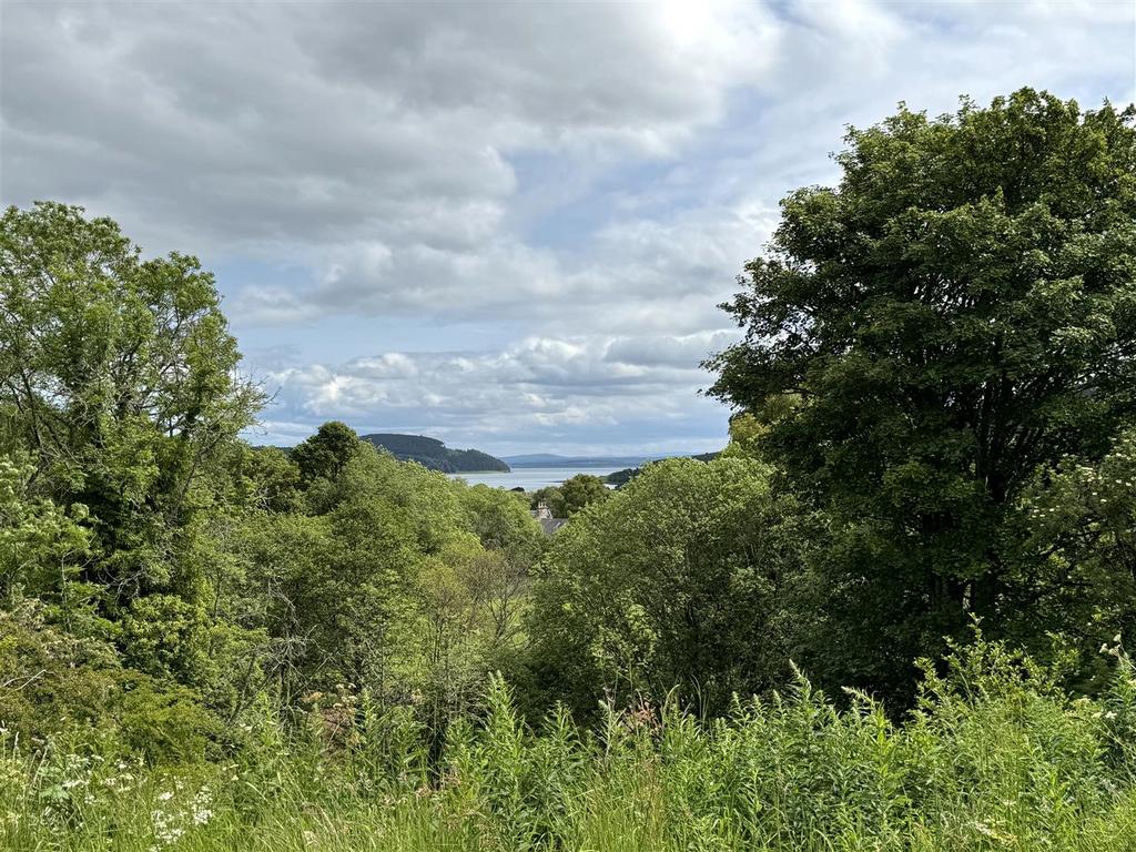 View.jpg