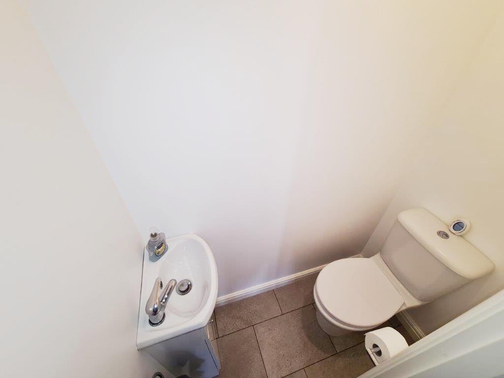 1000047045.jpg
