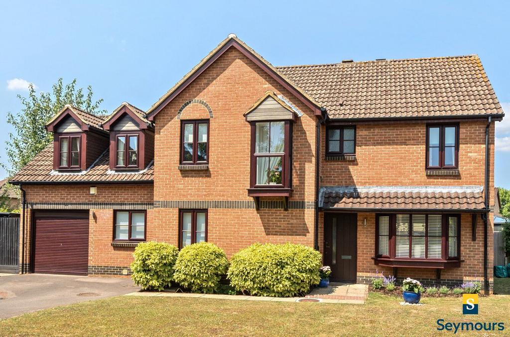 Front Aspect