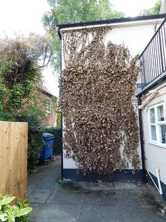 Studio for sale, 3 Muspole Street, Norwich, Norfolk NR3 1DJ