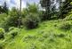 Additional image 28 of Glandwyryd, Upper Corris, Machynlleth, SY20 9BE