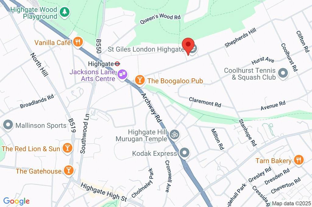 Google Maps Image