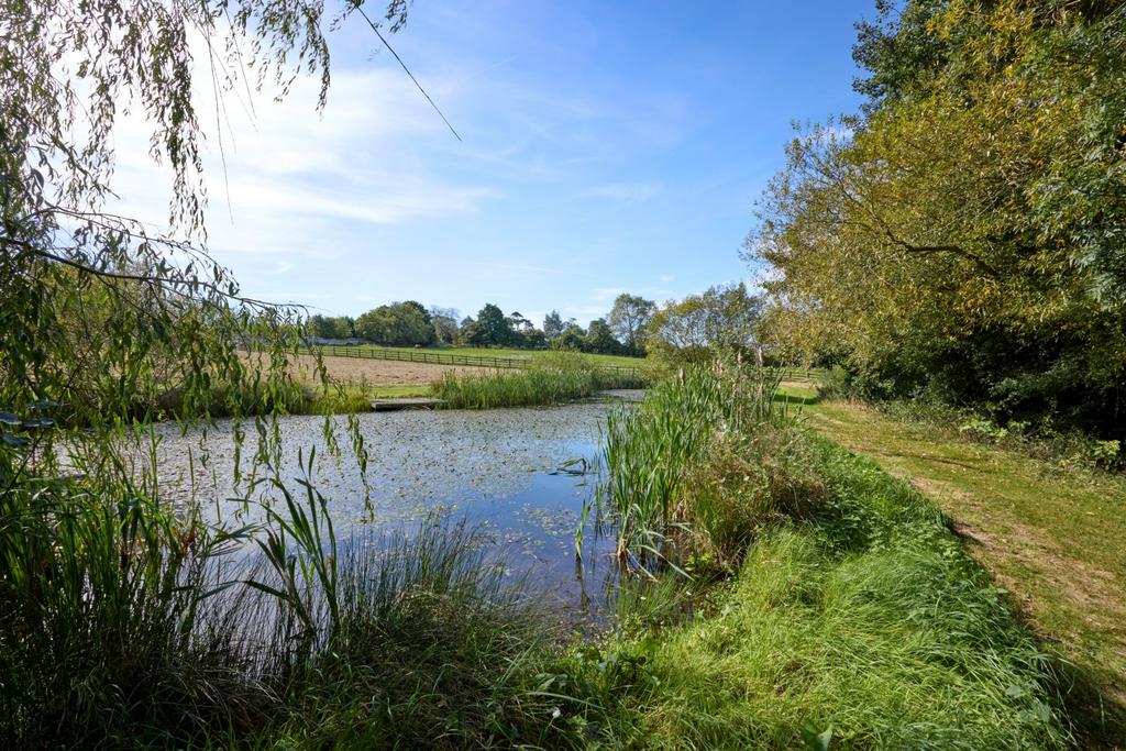 Pond