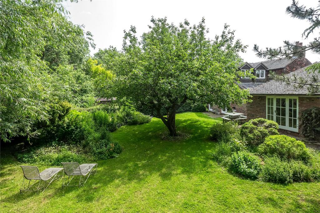 Grounds