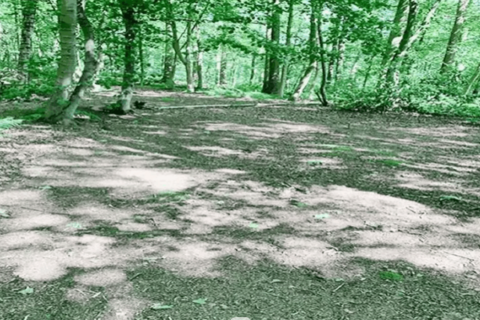 undefined, Cadham Square, Glenrothes KY7