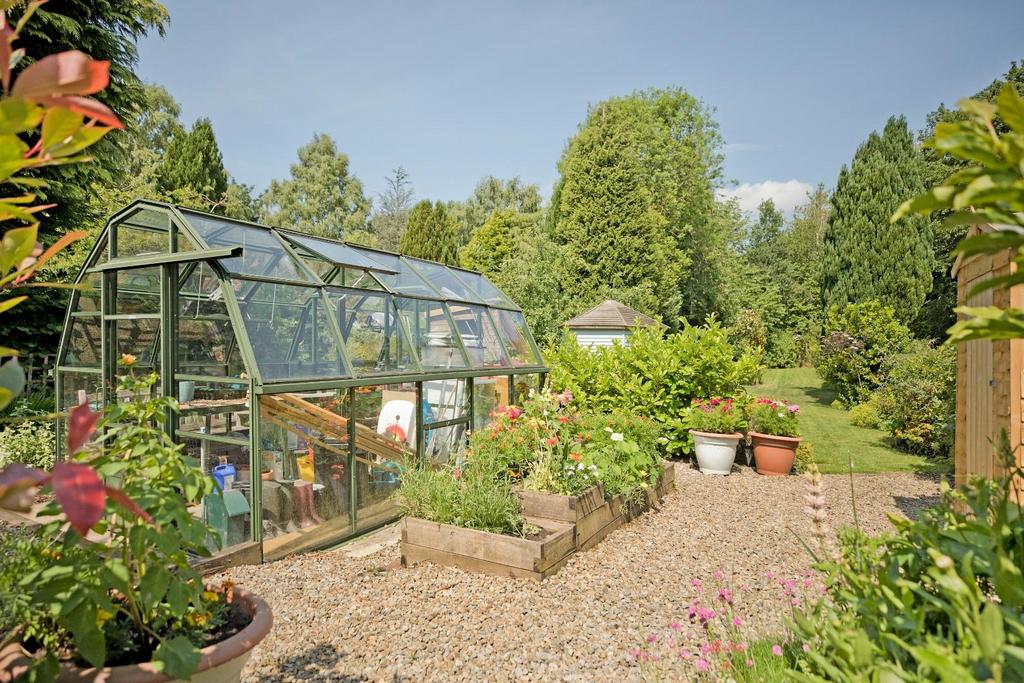 IMG 0103.jpg