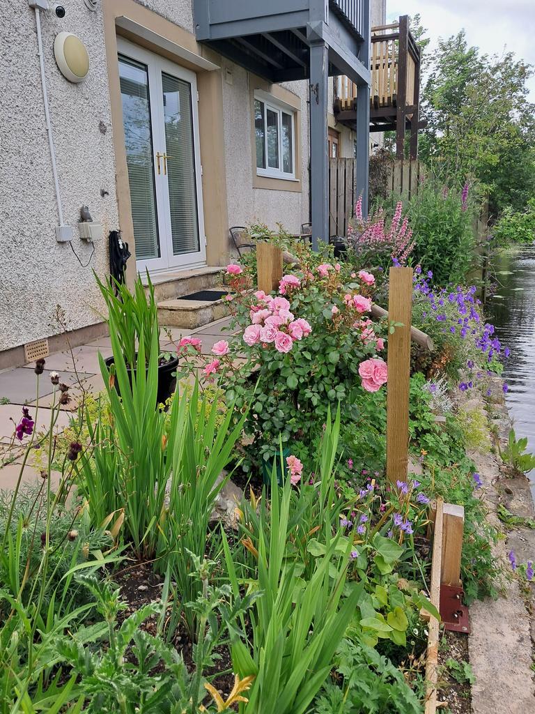 Flower bedding along the front