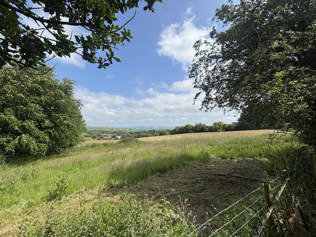 The land