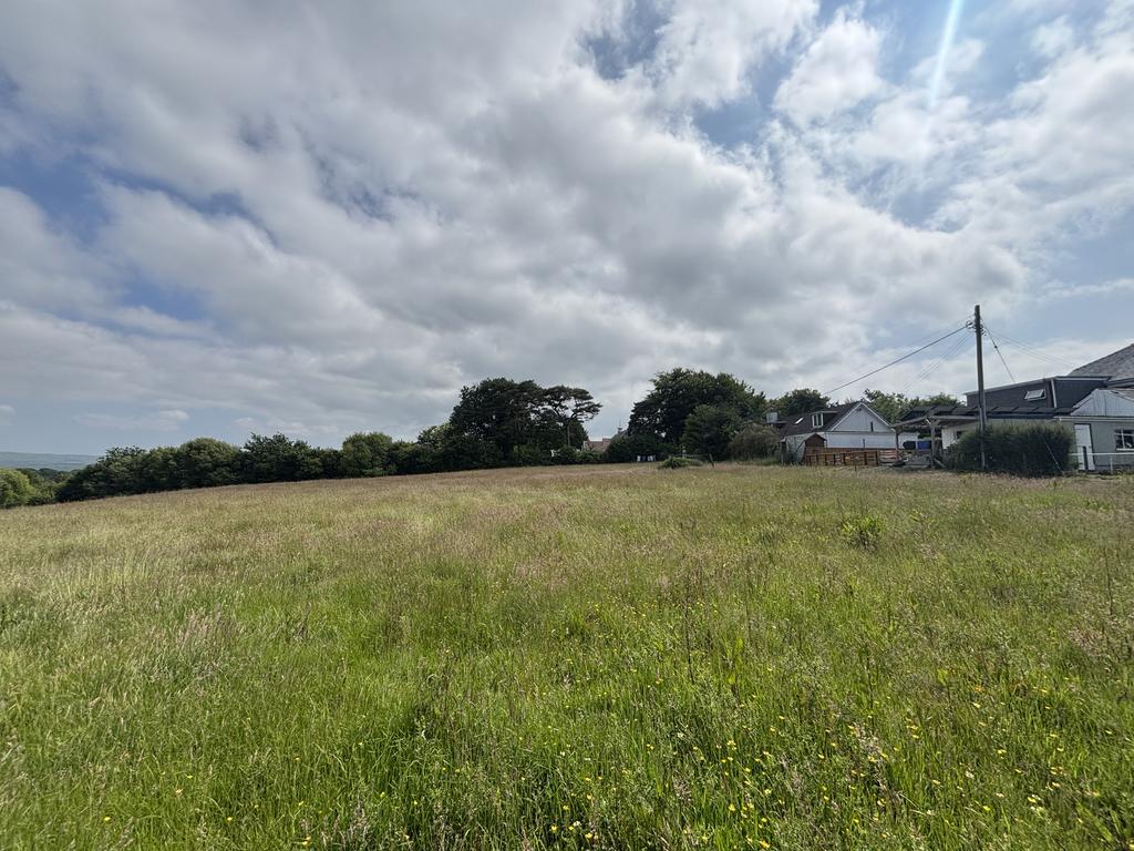 The land (second image)