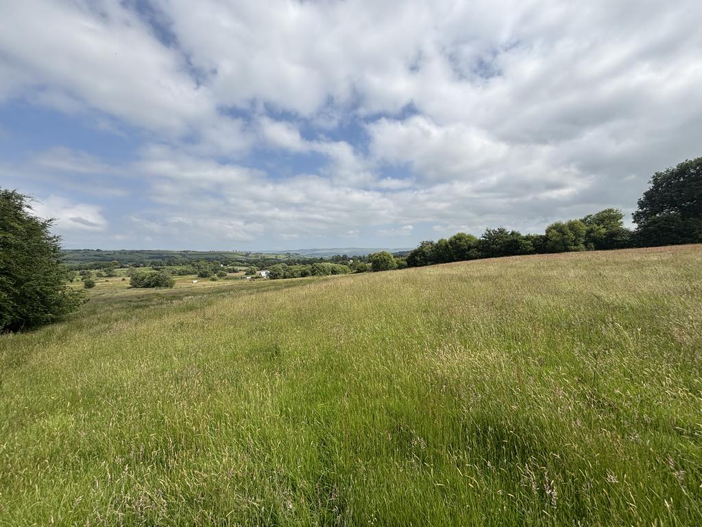 The land (third image)