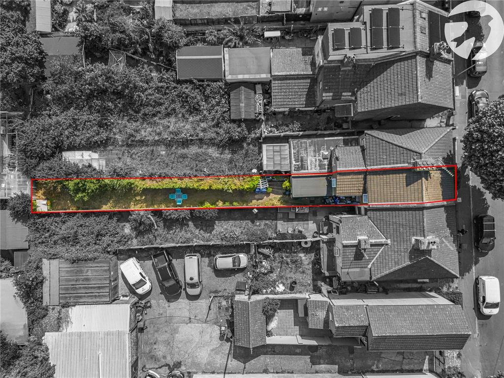 Plot View