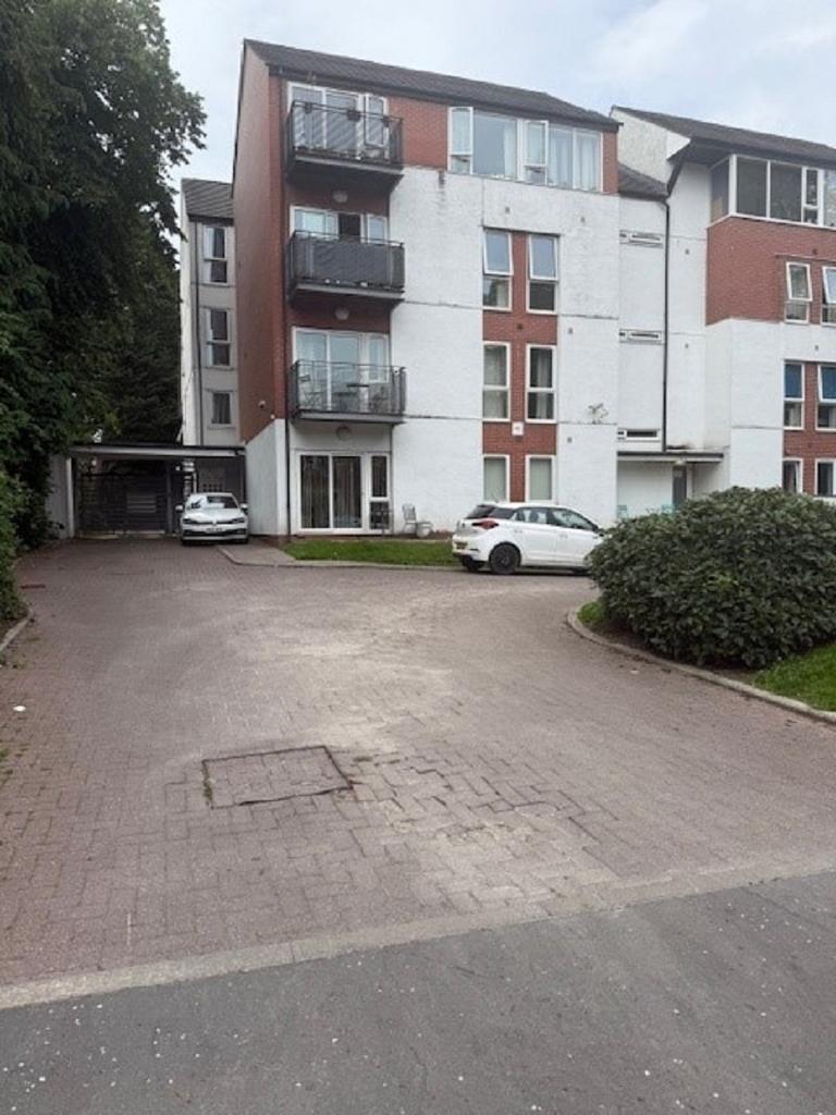 Main Image