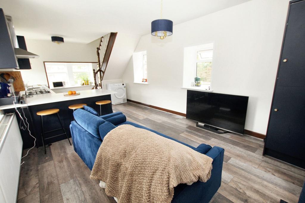 Lounge / Kitchen / Diner