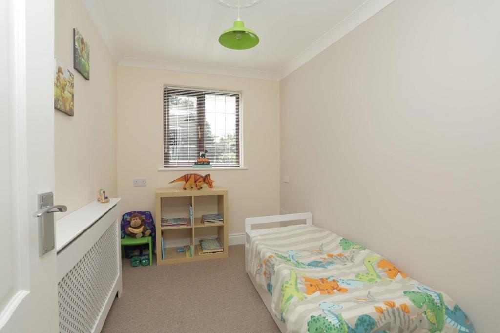 Picture 15