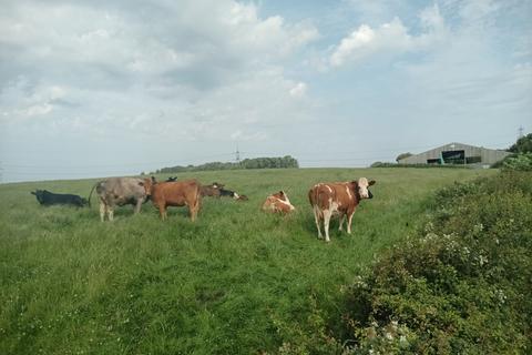 Farm land for sale, Church Lane, Winmarleigh PR3