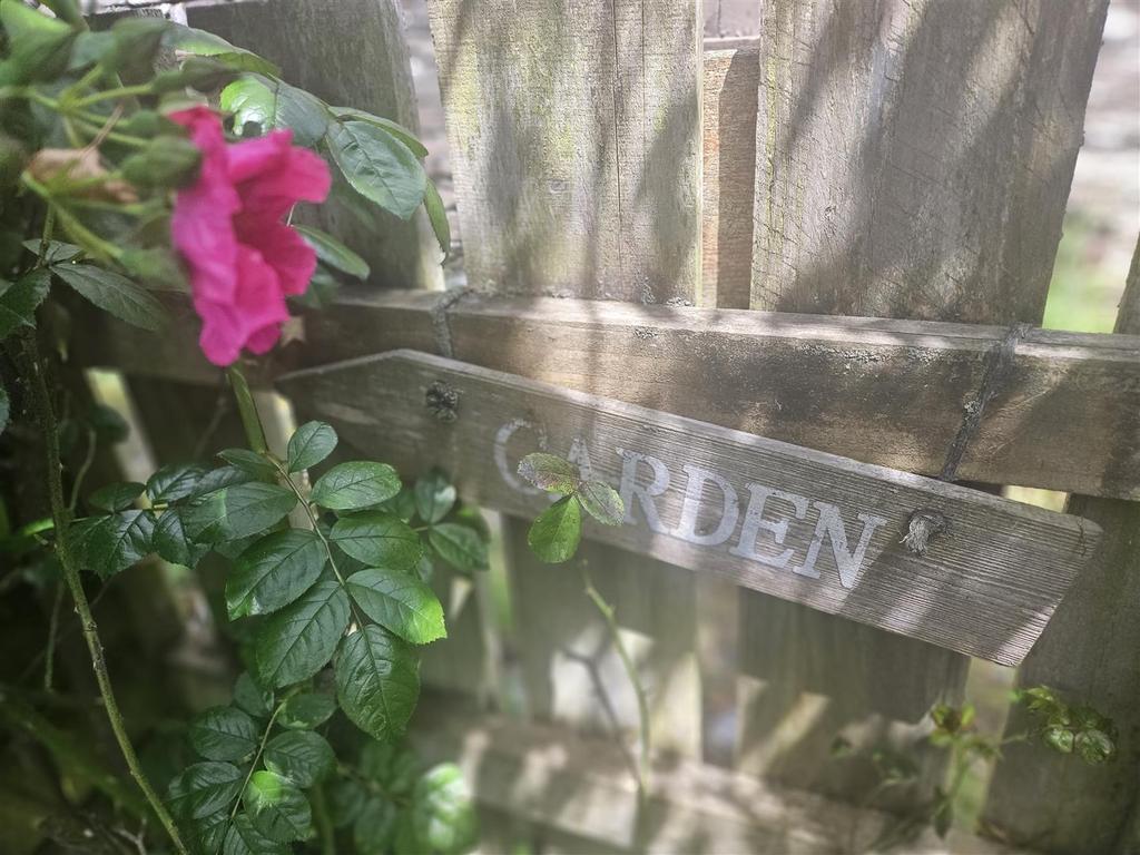 To the Garden.jpg