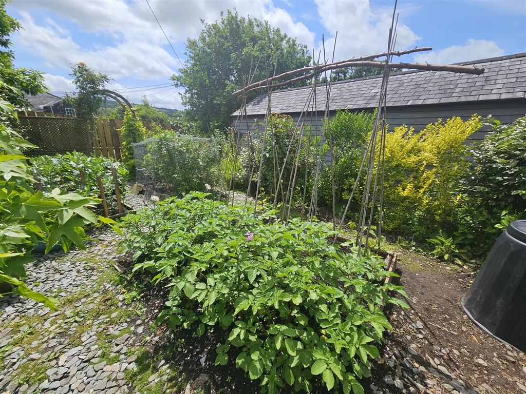 Vegetable Garden.jpg