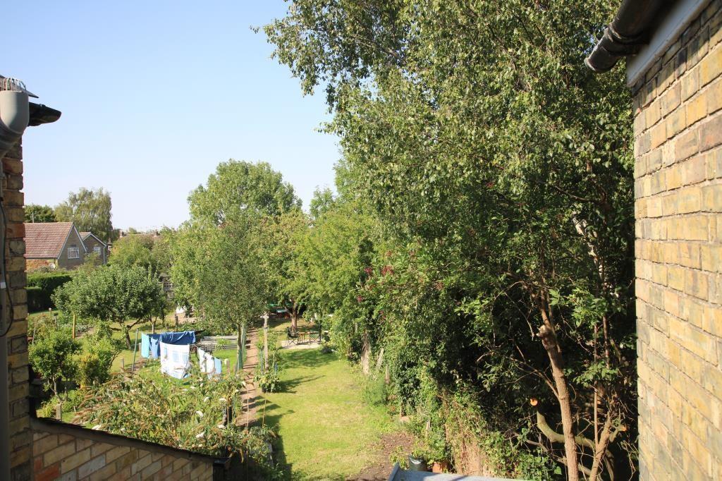 Garden view.jpg