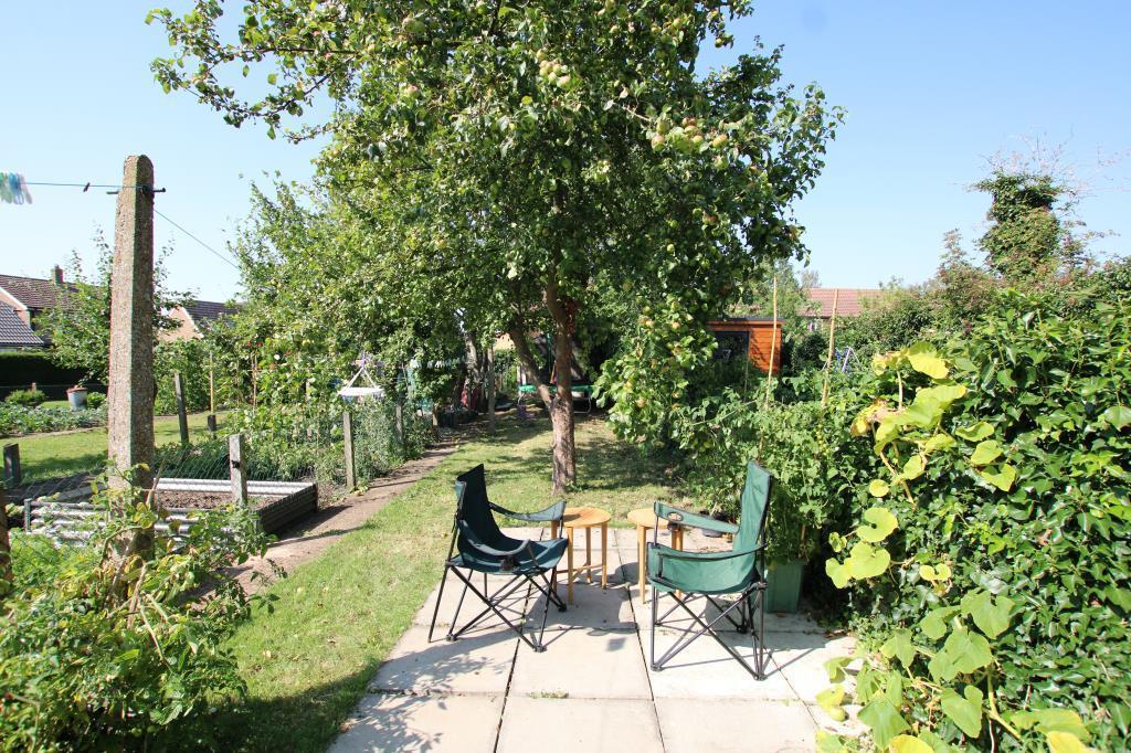 Garden.jpg