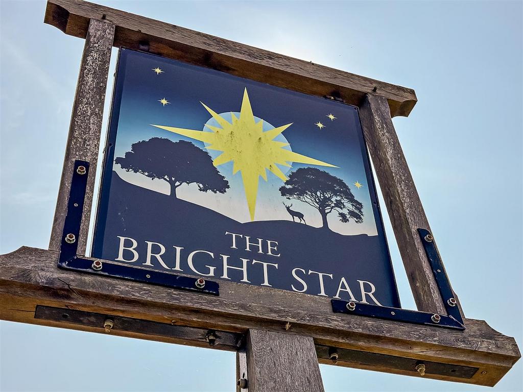 The Bright Star-1.jpg