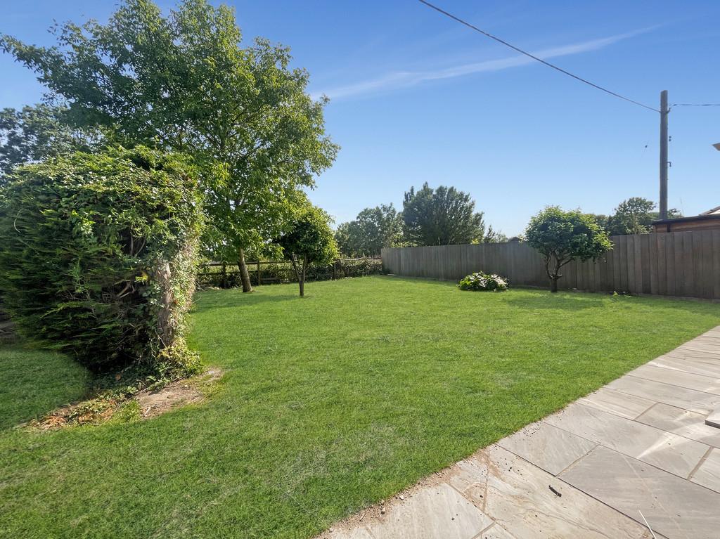 Garden (4)