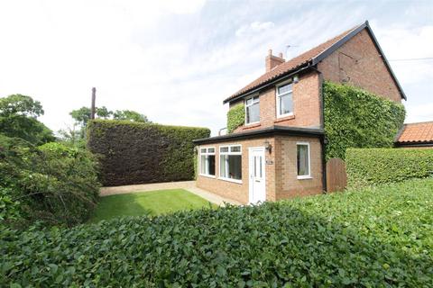 undefined, Hurworth Moor, Darlington