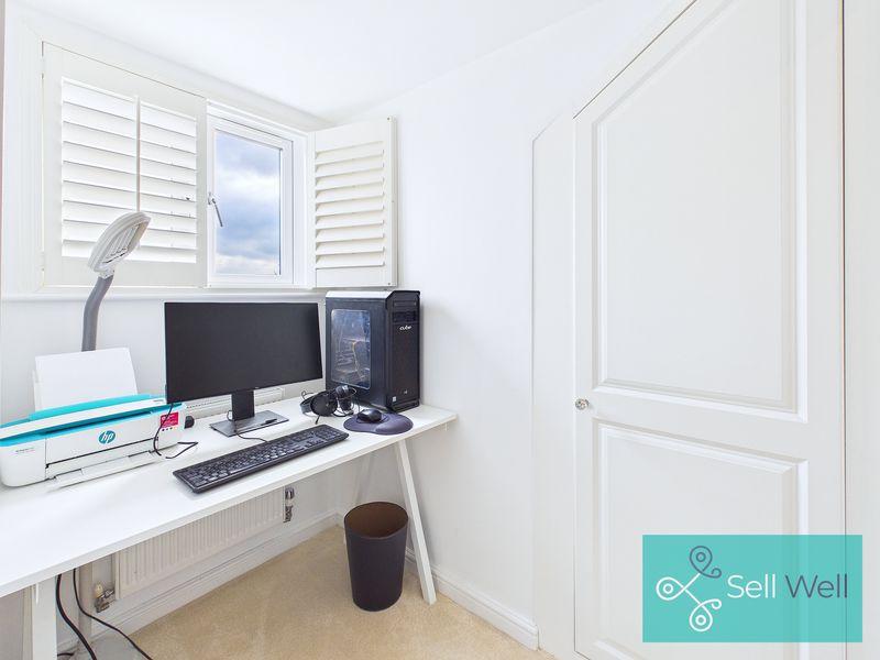 Study Area