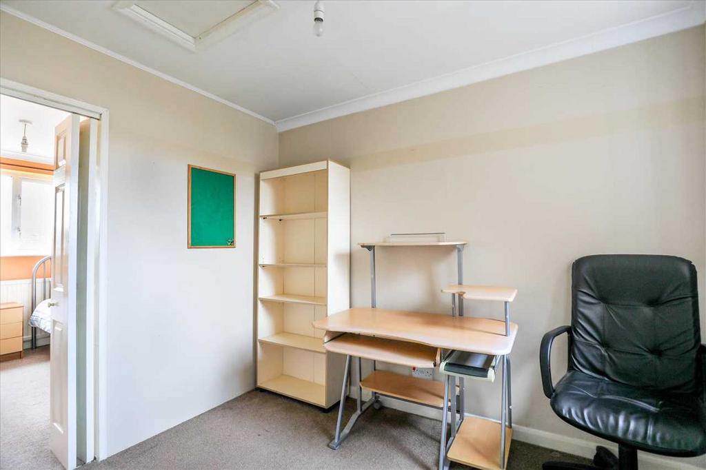Study Area
