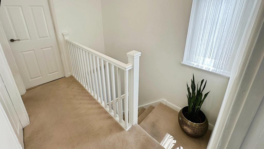 14cb4966-IMG 7368.JPG