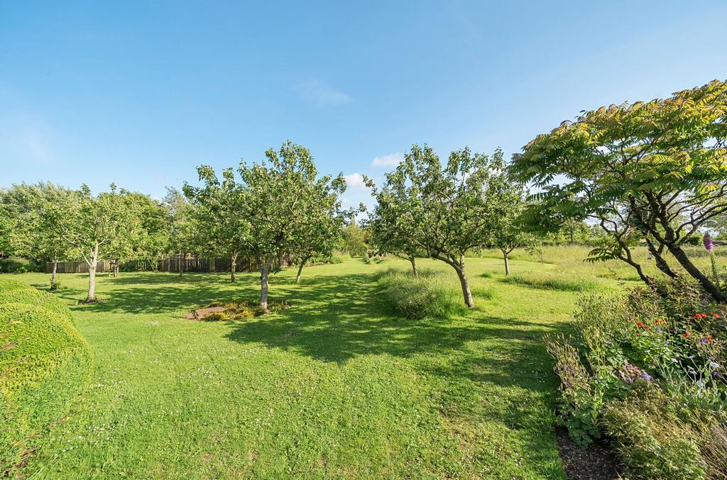 Communal Garden