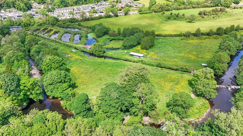 Low Mills Trout Farm