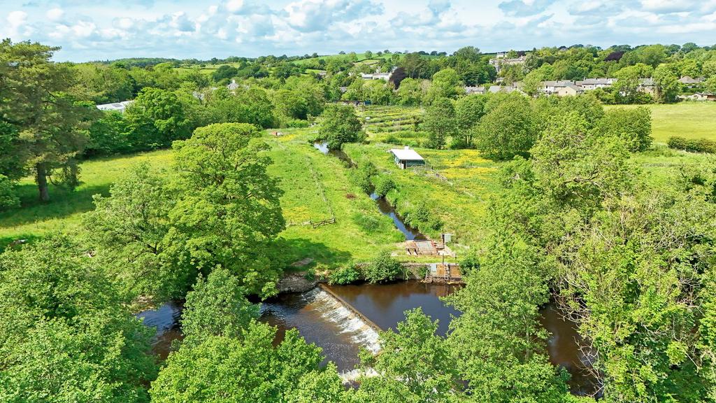 Low Mills Trout Farm