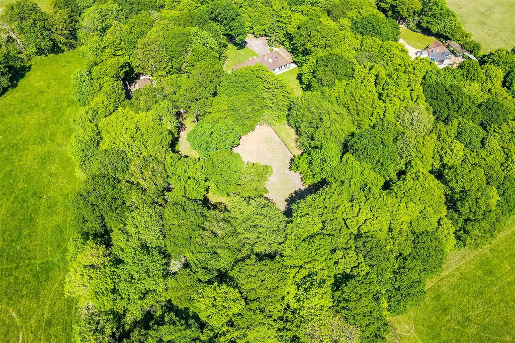 DJI 0921.jpg