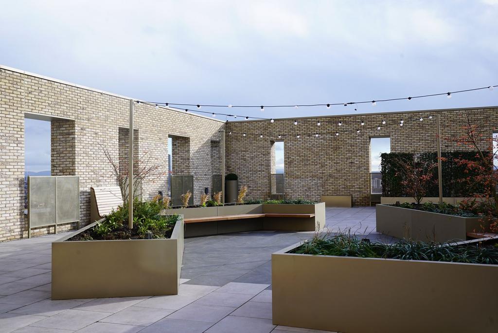 A modern rooftop garden featuring sleek planter...