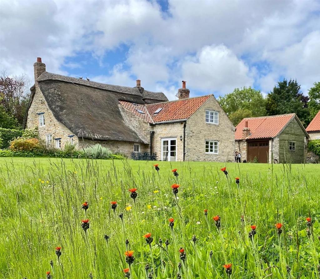 House & Garden