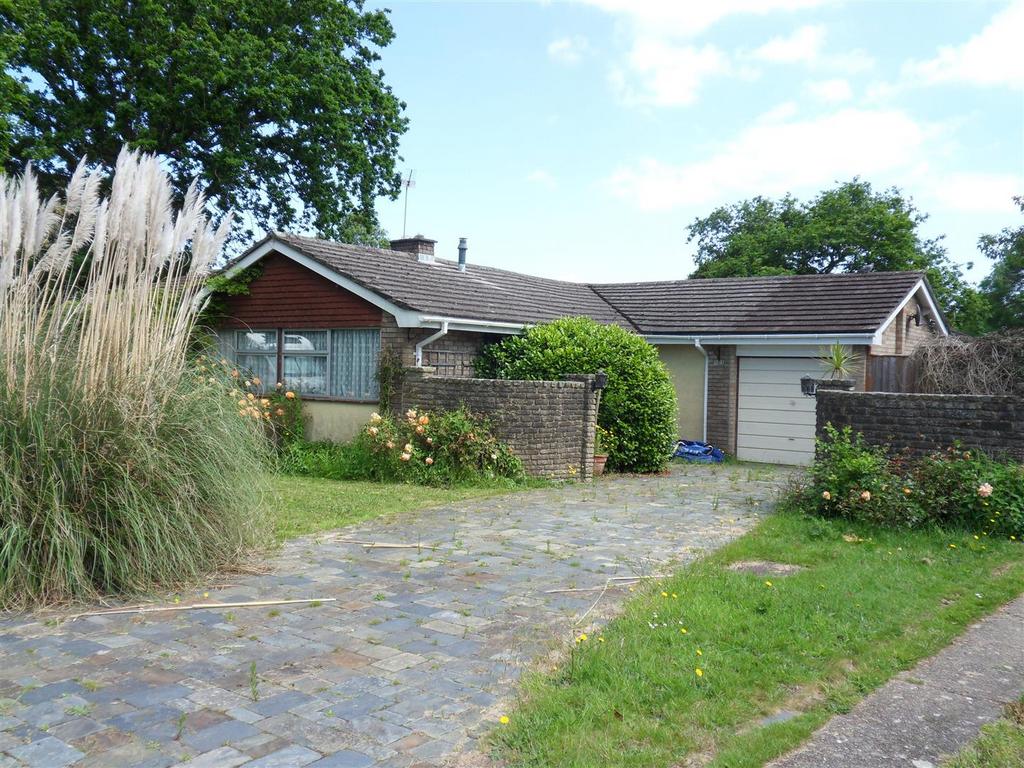 Sdc10145.jpg